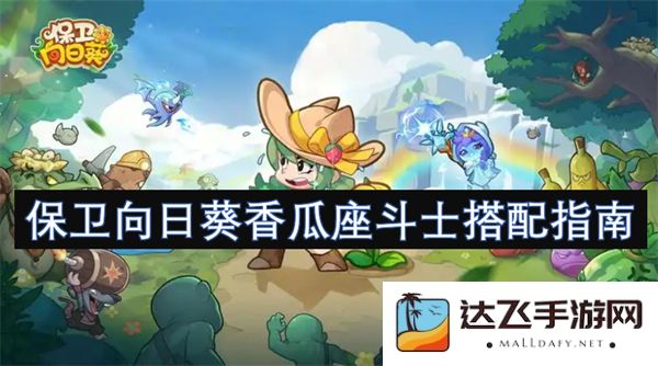 向日葵香瓜座斗士的完美搭配策略与指南探讨
