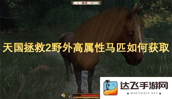 天国拯救2游戏中如何有效获取高属性野外马匹的攻略与技巧