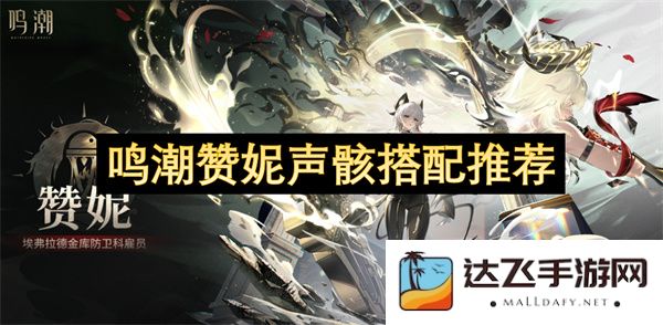 鸣潮赞妮声骸搭配推荐