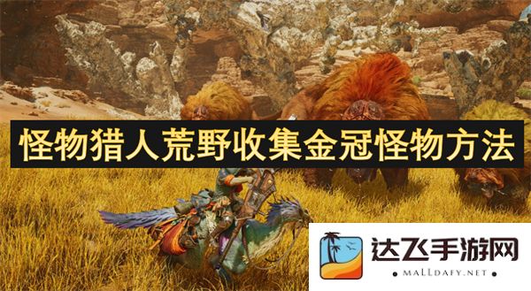 怪物猎人荒野中如何高效收集金冠怪物的详细攻略与技巧