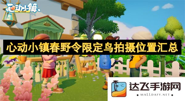 心动小镇春野令特别鸟类拍摄最佳地点汇总与攻略